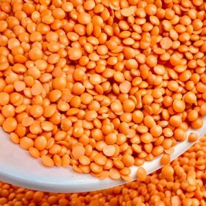 Red Premium Masoor Dal
