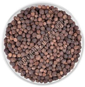 A Grade Black Pepper Seeds