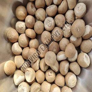 A Grade Brown Areca Nuts