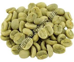 A Grade Robusta Cherry Coffee Beans