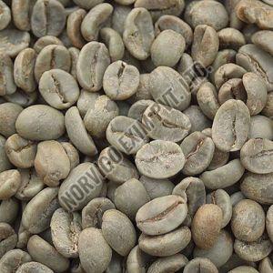 A Grade Washed Robusta Coffee Beans