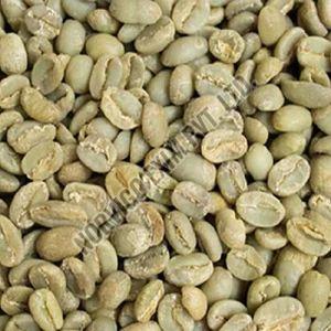 AA Grade Washed Robusta Coffee Beans
