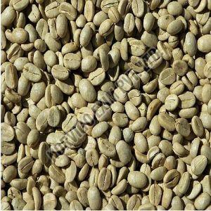 AB Grade Washed Robusta Coffee Beans