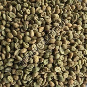B Grade Robusta Cherry Coffee Beans
