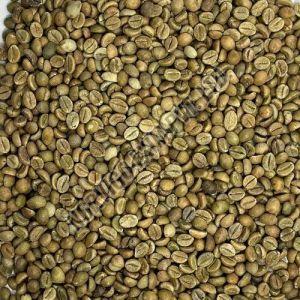C Grade Arabica Cherry Coffee Beans