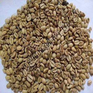 C Grade Robusta Cherry Coffee Beans