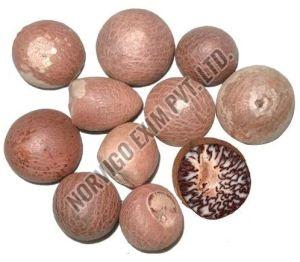 Dried Areca Nut