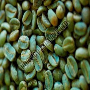 PB Grade Washed Robusta Coffee Beans