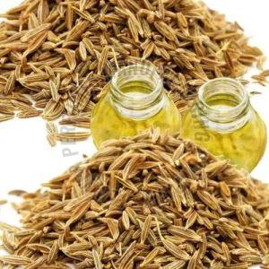 Cumin Seed Essential Oil