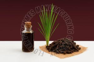 Nagarmotha Essential Oil