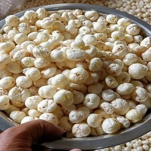 6 Plus Suta Phool Makhana