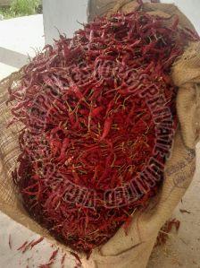 Guntur Dry Red Chilli