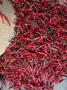 Guntur Dry Red Chilli