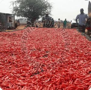 Organic Guntur Dry Red Chilli