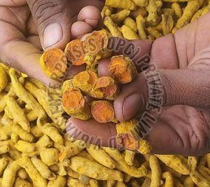 Turmeric Finger