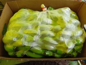 Fresh Green Banana