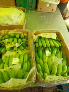 Fresh Green Banana