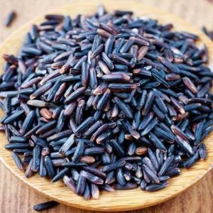 Pure Black Paddy Seeds