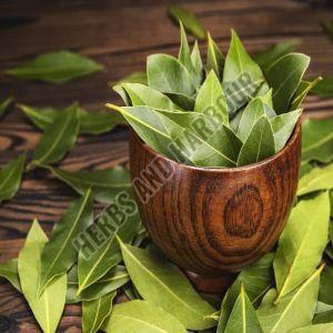 Bay Leaves