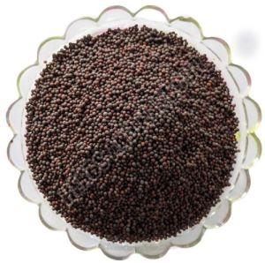 Black Mustard Seeds