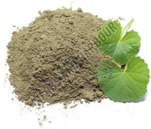 Brahmi Powder