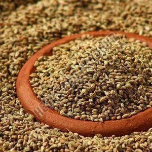 Carom Seeds
