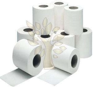 Toilet Paper Roll