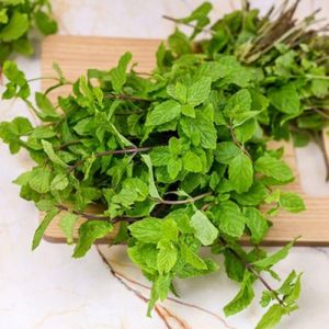 Mint Leaves