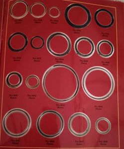 Stainless Steel O Ring