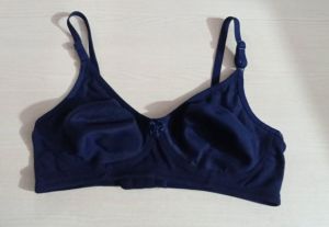 d102 hosiery bra