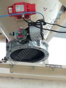 Pneumatic Butterfly Valve