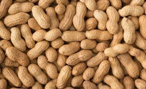 Groundnut