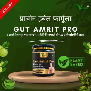 Vacre Gut Amrit Pro Digestion Powder