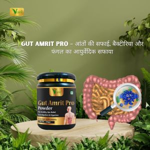 Vacre Gut Amrit Pro Digestion Powder