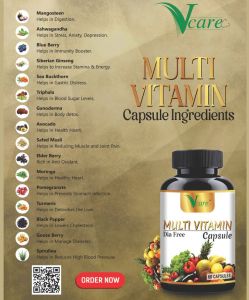 Vcare Multivitamin Capsule 15 Ancient Herb