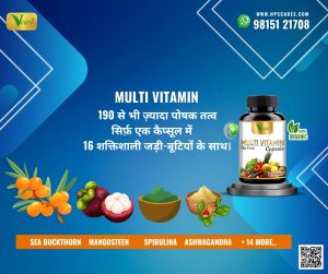 Vcare Multivitamin Capsule 15 Ancient Herb
