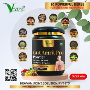 Vacre Gut Amrit Pro Digestion Powder