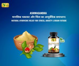 Vcare Multivitamin Capsule 15 Ancient Herb