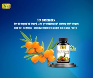 Vcare Multivitamin Capsule 15 Ancient Herb
