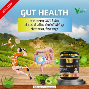 Vacre Gut Amrit Pro Digestion Powder