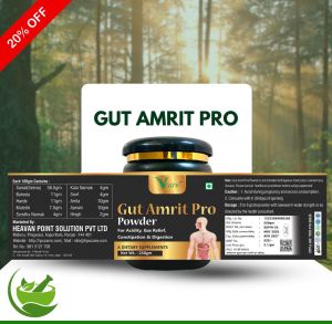 Vacre Gut Amrit Pro Digestion Powder