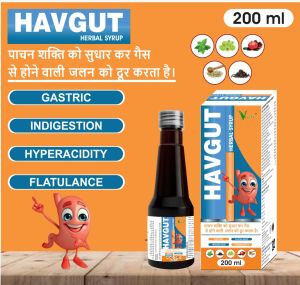Vcare Havgut Herbal Digestion Syrup
