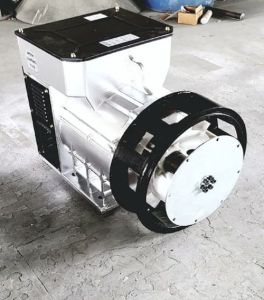 12.5 kVA Industrial Grade Three Phase Alternator