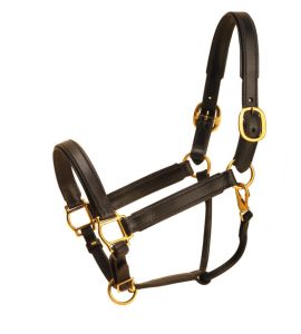 Leather Horse Halter