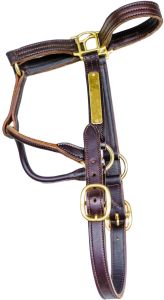 Leather Horse Halter