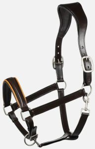 Leather Horse Halter