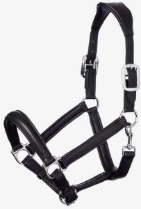 Leather Horse Halter