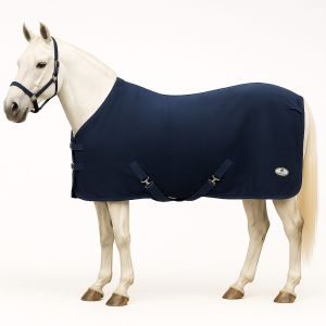 Horse Summer Rug