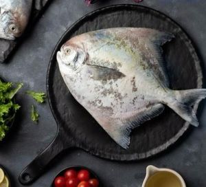 Chinese Pomfret Fish