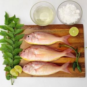 Fresh Sea Pink Perch Fish
